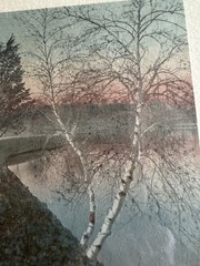 Antique Wallace Nutting Hand Colored Photo Birch Trees Pond in Original Frame