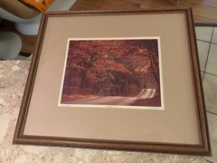 Bill Coleman Signed Amish No 58 Matted & Framed Photograph Autumn Bliss