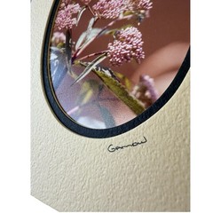 Barry Gamow signed Wild Flowers & Butterfly Nature Photography Art 5″ x 7″ Mated