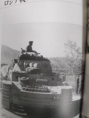 German Panzer Ⅳ in WWII WW2 World War Battlefield Photo Collection Japan Book