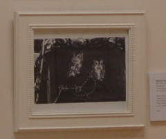 «Edu Owls», 8″ x 10” film photography artwork by Melanie Gonzalez, 2024 – 26