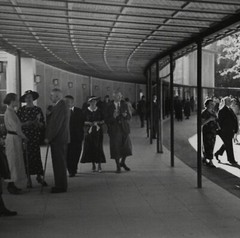 Vtg. 1950s German Artist Photograph Carl Breuer-Courth Bad Mergentheim Kurpark