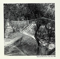 Leonard Sussman (b. 1947) Art Announcement Card 1990 – Italian Landscapes