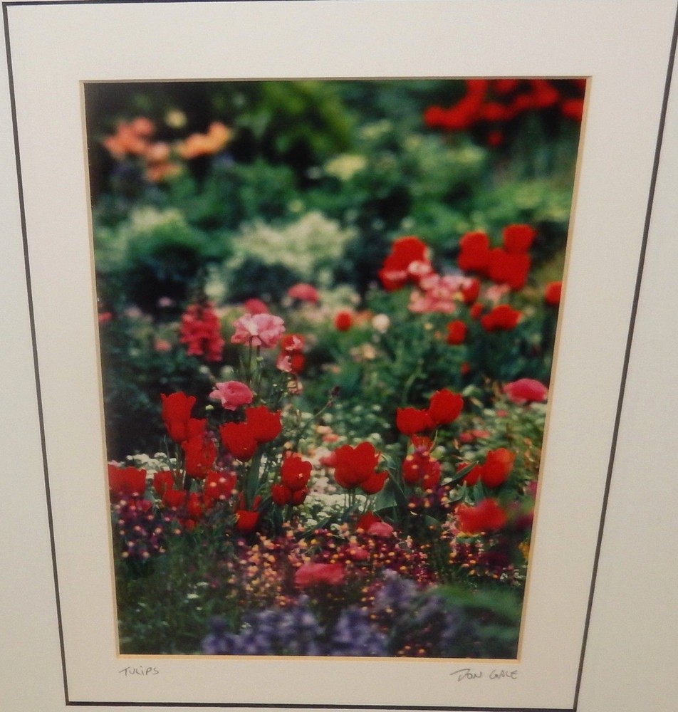 DON GALE «TULIPS» HAND SIGNED COLOR PHOTOGRAPH