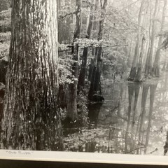 Blair Pittman: «Old River» – Original Gelatin Silver Print Photograph