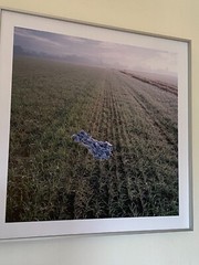 Demetris Koilalous, Untitled, from the project “CAESURA / The Duration of a Sigh