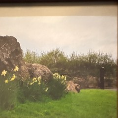 Ireland Landscape Photography Triptych Dingle Peninsula Framed 15×9 Coastal Art