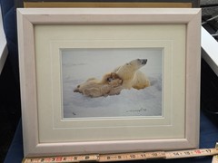Thomas Mangelsen – Northern Comfort (Signed 1999) 10×14 Framed