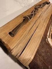 Handmade Folk Art Photo Book Pressed Leaf Appliqué Wood Bound One of a Kind