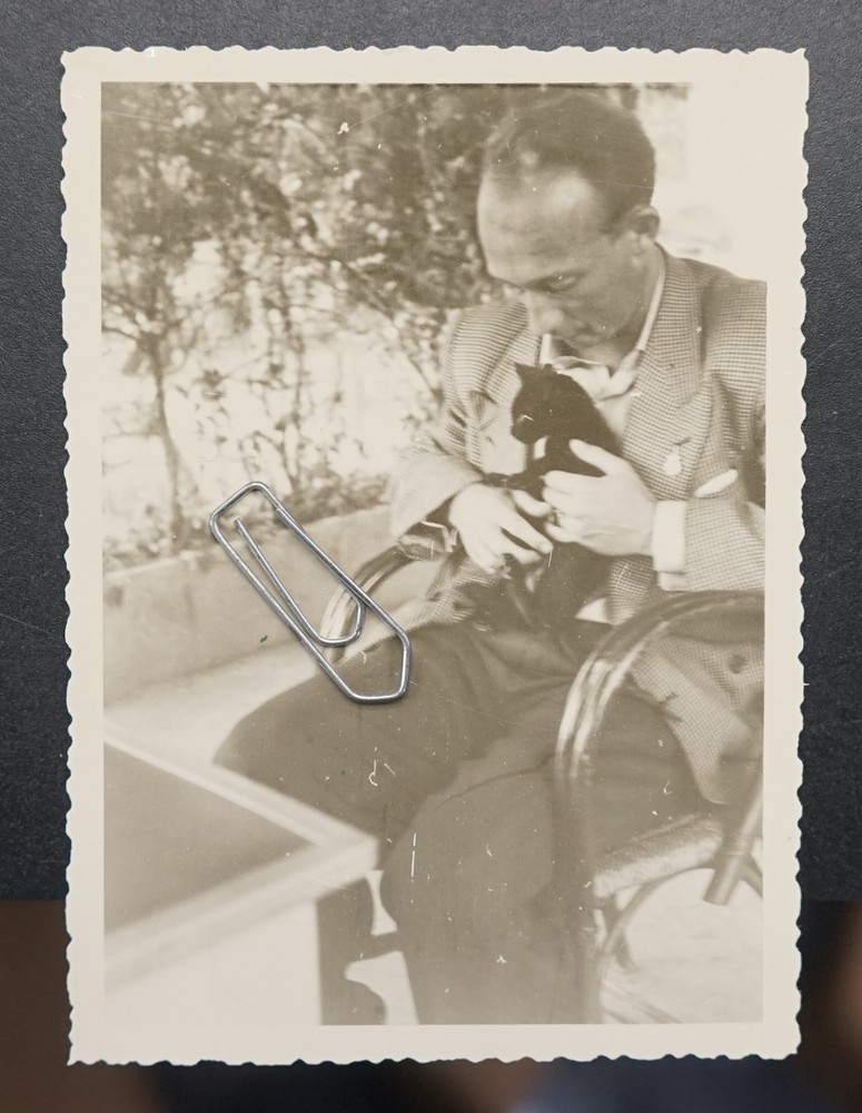 Photo 1955 Mallorca Palma Portrait Man Cat Baby Pet Vintage Picture Black