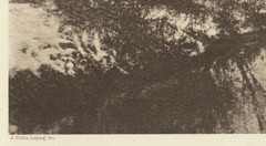 Orig. 1900s pictorialist landscape by A. Fichte