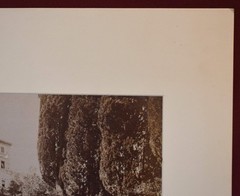 Vtg Italian Villa Photograph: 8964 Dettaglio della scala, Villa d’Este – Tivoli