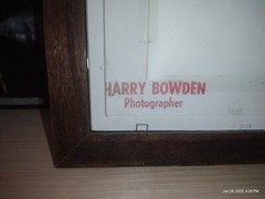 Signed Harry Bowden Black Chinned Hummingbird Photo 87′ Framed And Matted 10×8