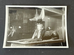 Original Signed Vintage Photo 1950s Egypt Statue Egyptology Art Print