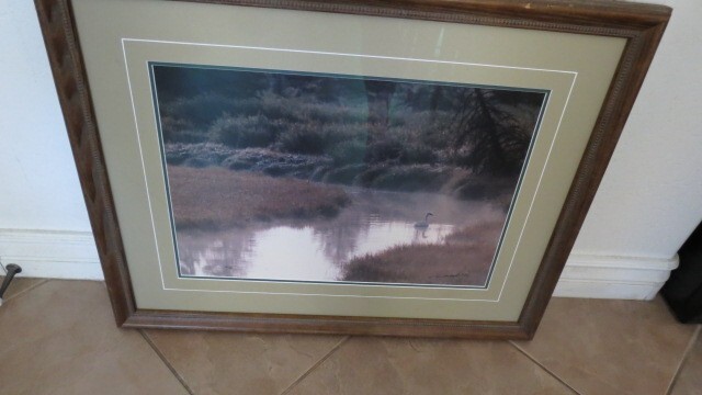 Thomas Mangelsen Signed Numbered Framed Wildlife Print.