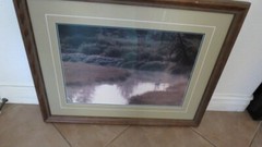 Thomas Mangelsen Signed Numbered Framed Wildlife Print.