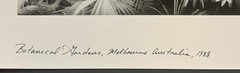 Original GEIR JORDAHL ‘Botanical Gardens Melbourne Australia’ Plants PHOTOGRAPH