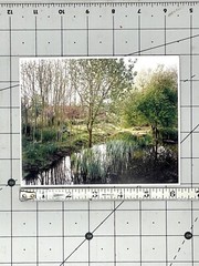 Jem Southam (b. 1950) Art Announcement Card 2004