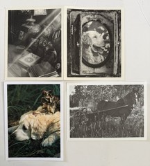 Set Bruce Weber Original SIGNED Holiday Cards 1999, 2017, 2019 Privenance Rare