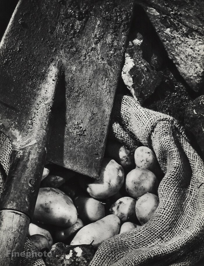 1932 Original Willy Zielke Agriculture Garden Potato Shovel Farm Food Photo Art