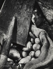 1932 Original Willy Zielke Agriculture Garden Potato Shovel Farm Food Photo Art