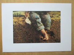 Jan Saudek (*1935) – Fotodruck von 1998 – B.-Nr.: 115 – DIN A4