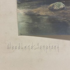 AQ Fred Thompson “Woodland Symphony” Original Hand Tinted Photograph Signed 7×9”