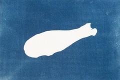 Original Cyanotype Print – Botanical Leaf Photogram – Handmade Blue Art|20×15 cm