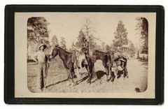 Elk Hunting, Colorado / Elk Hunt