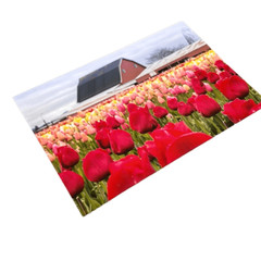 10×18 photography print 1 of 2 Tulips