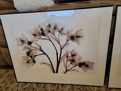 ALSTROMERIA Hellebore 2 STEVEN MEYERS XRAY FLORAL FLOWERS SEE THROUGH Art Print