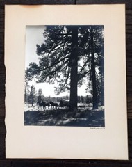 Bert Lynch Signed 10×13 1930s Western Movie Still Photograph on 16×20 Matte
