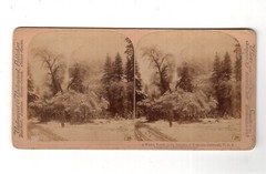 Stereoscopy Splendor of Yosemite / California / USA