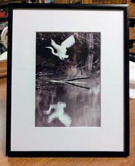 Limited Print By Donna T, The Swamp Ghost , 1/ 50 Signed, Matted And Framed