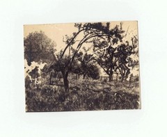 Paul Citroen: Country Landscape 1943 RARE / Dutch German S/Photograph Bauhaus