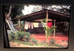 Lot Of 40 Vintage England Costa Rica Family Vacation 35mm Color Slides ct2