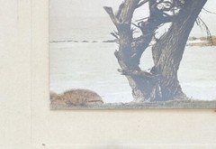 Vtg Gibson Hand Tint Oil Color Photo The Sentinal Cypress Tree 12.75”x11.3/8” VG