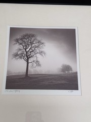 Richard Calvo ‘In Just Spring’ Framed Black & White Landscape Tree Photograph