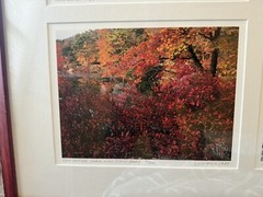 Nick Zungoli Set of Four Framed Photographs Signed Hundson Valley Photographer