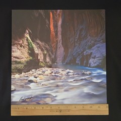 Zion National Park Narrows Photograph Signed David J. West on Aluminum 12″×12″