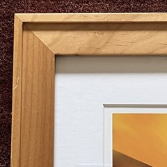 California Poppy Flower Art Photograph Signed & Framed