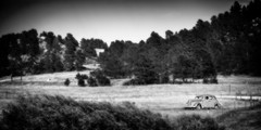 Fine Art Photography, 9×18, Black and White, Limited Edition, Colorado