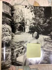Japanese actress Kanako Higuchi’s photobook – water fruit