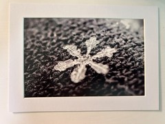 4”x6” Snowflake Print With Photo Mat