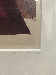 Bill Coleman Amish No. 363 Signed by artist, numbered Framed Color Photograph
