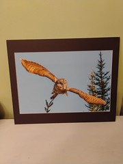 Christian Dalbec Take Flight Signed Owl Wildlife Photograph 2013 Color