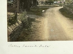 Large Rare Wallace Nutting w/Dog «Patti’s Favorite Walk» Hand Colored Photo