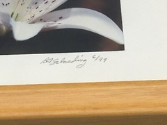 Pair of WALL ART Framed, Signed & Matted Floral Photographs B.A. Schmeding 6/99