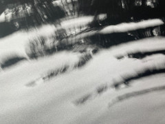 Arno Rafael Minkkinen «Waiting for the Snake» Silver Gelatin Signed Numbered