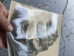 Japanese American Photographer Soichi Sunami Silver Gelatin Sculpture Photos (2)